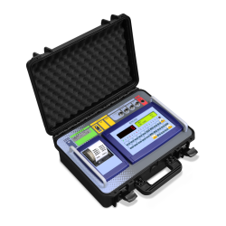 3590EKR2G4-1 Wireless Vehicle Weighing Indicator